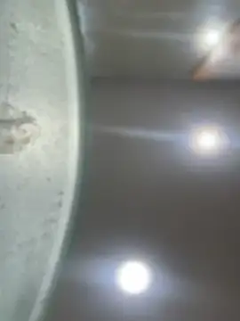 Mila Morgan online show from 23, 1, 2025