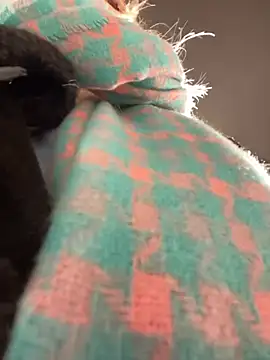 MerlinDave online show from 6, 1, 2025