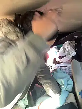 starrynikki online show from 15, 1, 2025