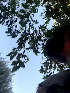 starrynikki online show from 24, 10, 2025