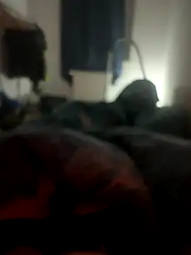 Snapshot of habbockwiesau chatting on 24, 11, 2025 habbockwiesau online show from 24, 11, 2025