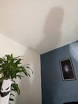 SilvaBranko online show from 4, 11, 2025