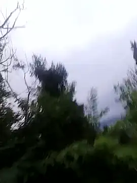 Snapshot of maleesa chatting on 1, 10, 2025 maleesa online show from 1, 10, 2025