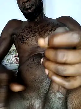 Bulletact online show from 4, 2, 2026