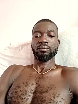 Bulletact online show from 23, 2, 2026