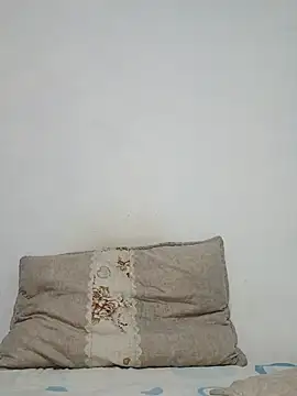 Snapshot of Bulletact chatting on 12, 7, 2026 Bulletact online show from 12, 7, 2026