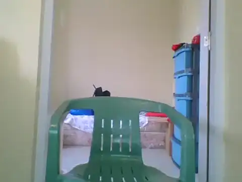 the geisha 2021k online show from 27, 1, 2025