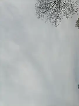 Snapshot of Nkumar173 chatting on 13, 2, 2025 Nkumar173 online show from 13, 2, 2025