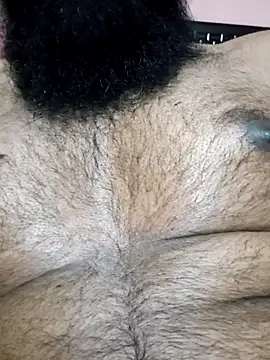 0606HARRY online show from 11, 4, 2026