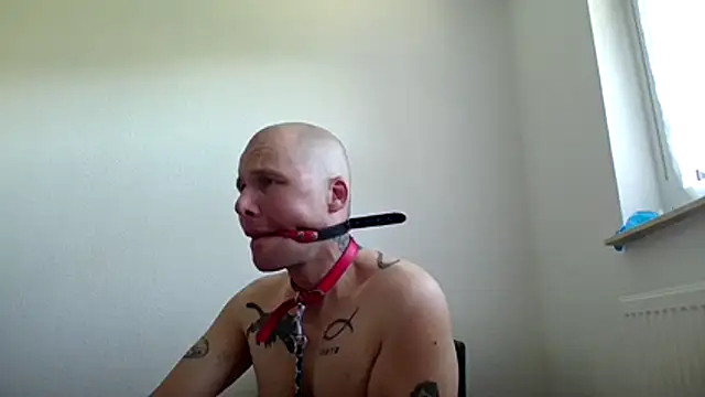 Snapshot of gaywolf426 chatting on 29, 7, 2026 gaywolf426 online show from 29, 7, 2026