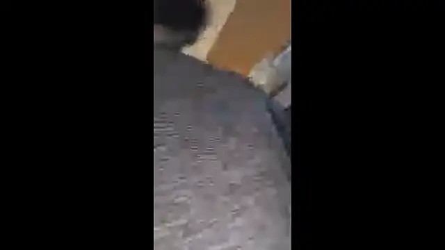 Armyexhibitionistvet online show from 20, 10, 2025