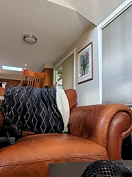 Armyexhibitionistvet online show from 22, 2, 2026