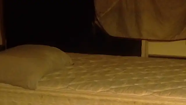 Armyexhibitionistvet online show from 19, 3, 2026