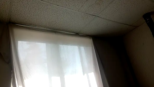 Armyexhibitionistvet online show from 5, 4, 2026