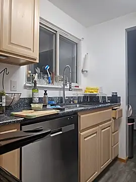 Armyexhibitionistvet online show from 15, 4, 2026