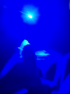 Snapshot of prcalek19 chatting on 20, 11, 2025 prcalek19 online show from 20, 11, 2025