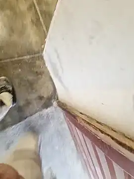 Snapshot of robertilevis chatting on 27, 2, 2026 robertilevis online show from 27, 2, 2026