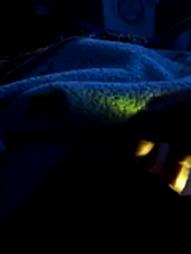 mivergateculeabienrico online show from 4, 2, 2026