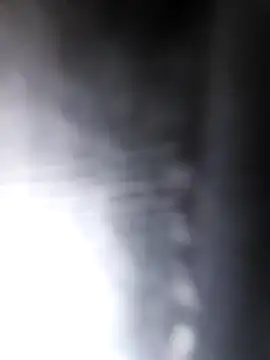 Snapshot of studboy1111 chatting on 31, 12, 2024 studboy1111 online show from 31, 12, 2024