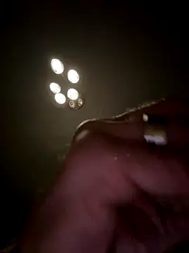 Snapshot of Shyboy817 chatting on 7, 11, 2025 Shyboy817 online show from 7, 11, 2025