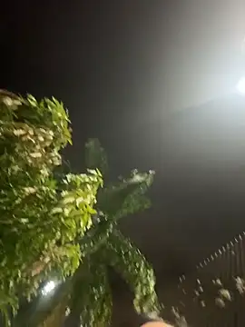 Electra doll  online show from 18, 2, 2026