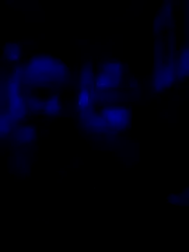 Snapshot of AlphaAlluring69 chatting on 11, 5, 2026 AlphaAlluring69 online show from 11, 5, 2026