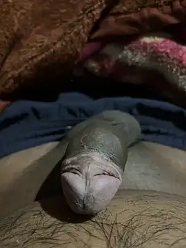 delhiboyz1 online show from 16, 2, 2025