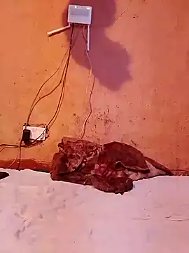 cute naimah online show from 5, 12, 2025