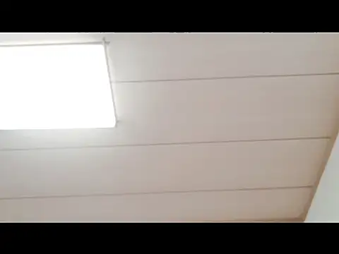 xxArisaxx online show from 29, 11, 2025