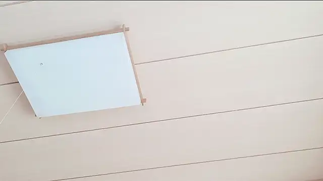 xxArisaxx online show from 1, 3, 2026