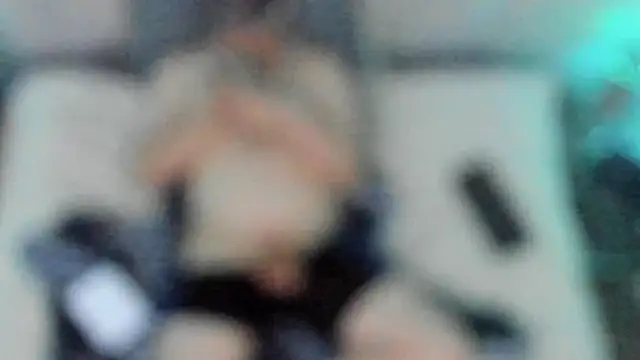 stillwild online show from 17, 12, 2024