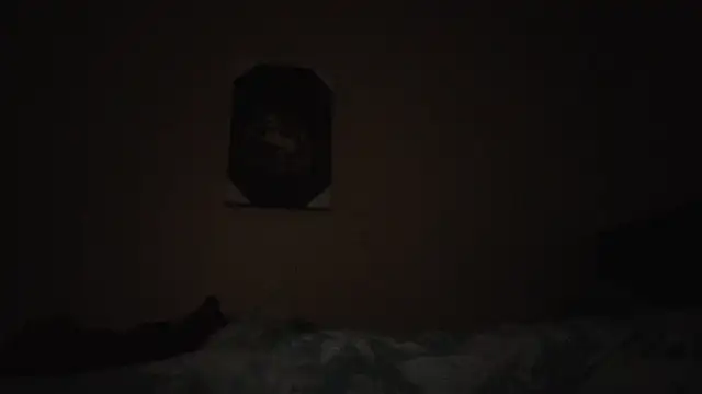 hailzeffn online show from 13, 11, 2025