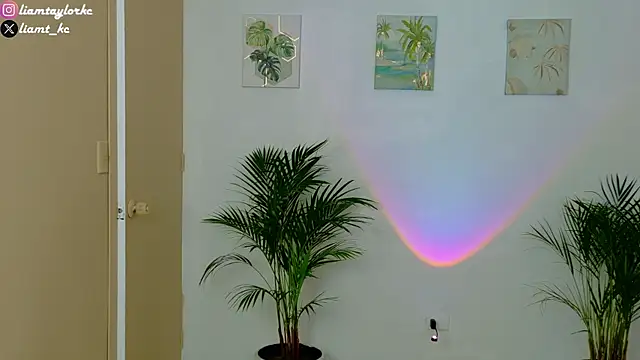 Snapshot of Liam_Taylor chatting on 3, 12, 2025 Liam Taylor online show from 3, 12, 2025