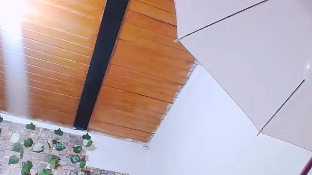 Snapshot of MaidenGame chatting on 19, 2, 2026 MaidenGame online show from 19, 2, 2026