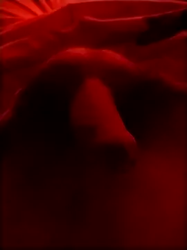 Luiz 097 online show from 15, 1, 2026