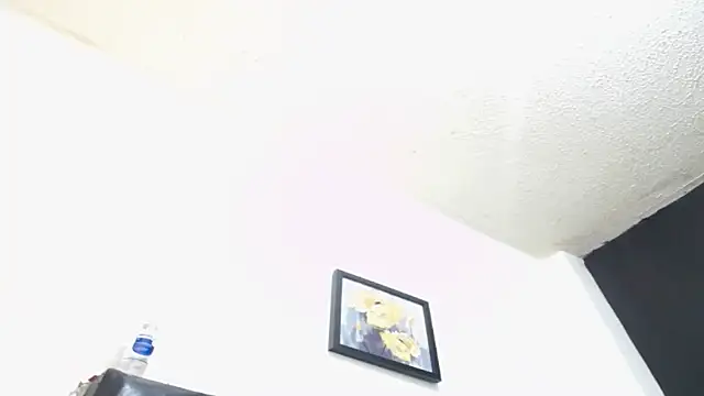 candyladyboy online show from 15, 4, 2026