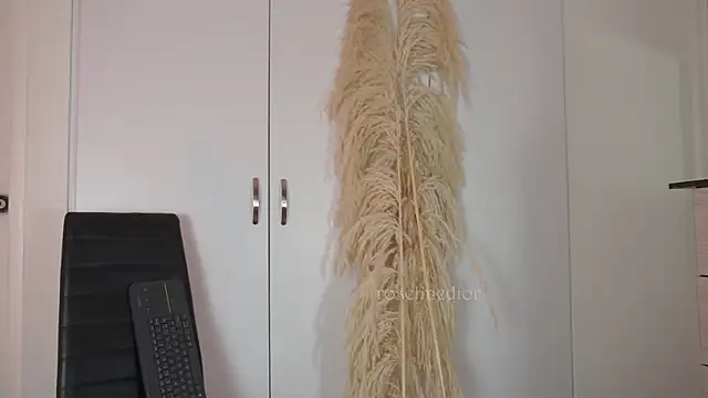 roselinedior online show from 20, 10, 2025