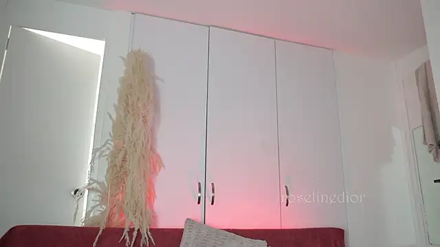 roselinedior online show from 10, 11, 2025