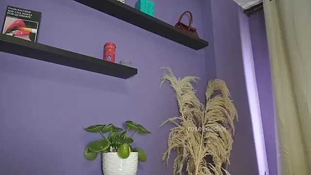 roselinedior online show from 1, 6, 2026
