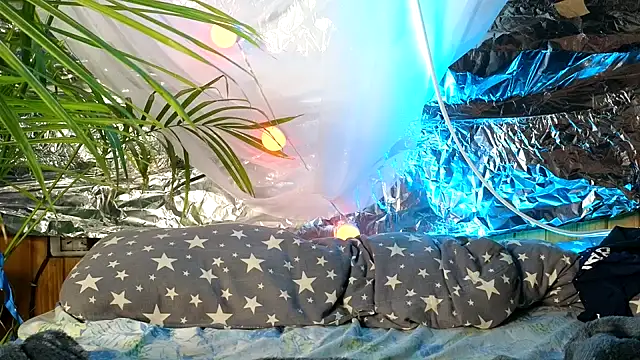 Snapshot of Jony_Marta chatting on 9, 10, 2025 Jony Marta online show from 9, 10, 2025