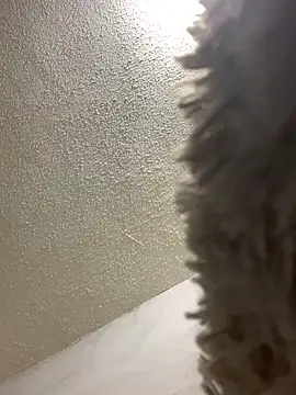 talitasilvx online show from 18, 3, 2025