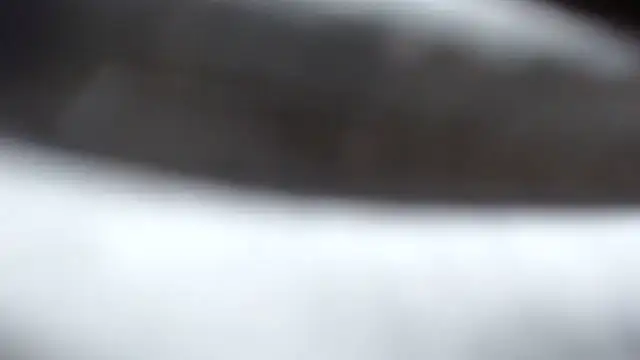 BERNINIBLUSHX89 online show from 10, 3, 2025