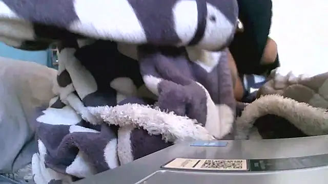 Bustypillows online show from 7, 5, 2026