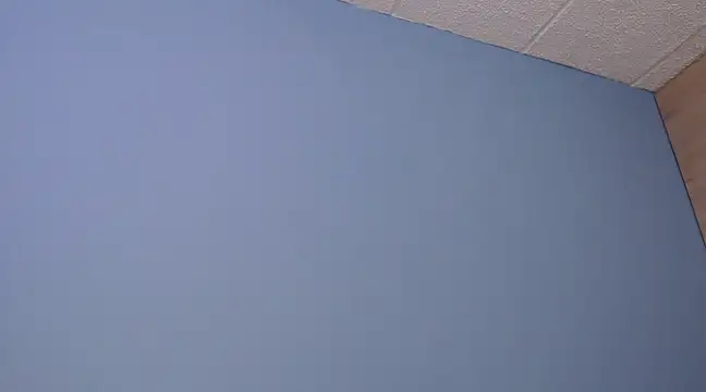 Lilly macflyy online show from 18, 12, 2024