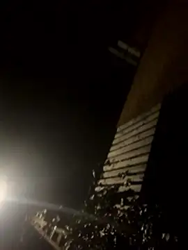 jent59 online show from 17, 1, 2026