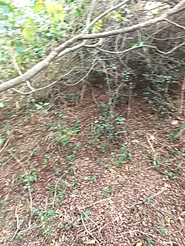 HathodaTyagi123 online show from 8, 12, 2024