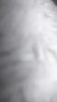 Ajhustler1xh online show from 9, 1, 2026