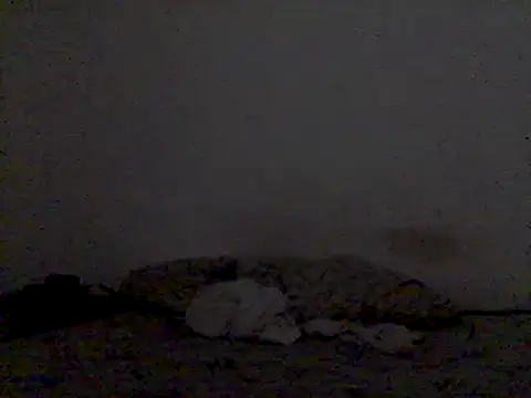 mariy  online show from 3, 3, 2025