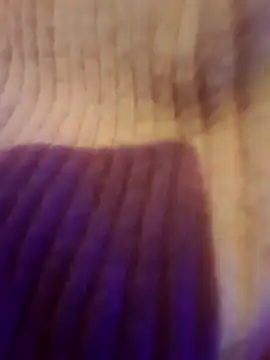 Snapshot of AsStraightAsARuler chatting on 3, 12, 2025 AsStraightAsARuler online show from 3, 12, 2025