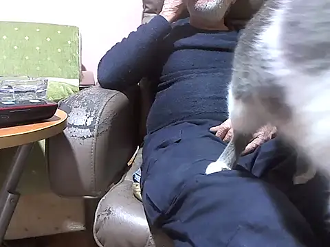 zormen355 online show from 7, 4, 2026